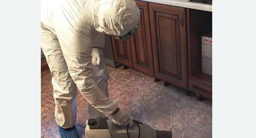 Уничтожение тараканов в квартире. Макаров